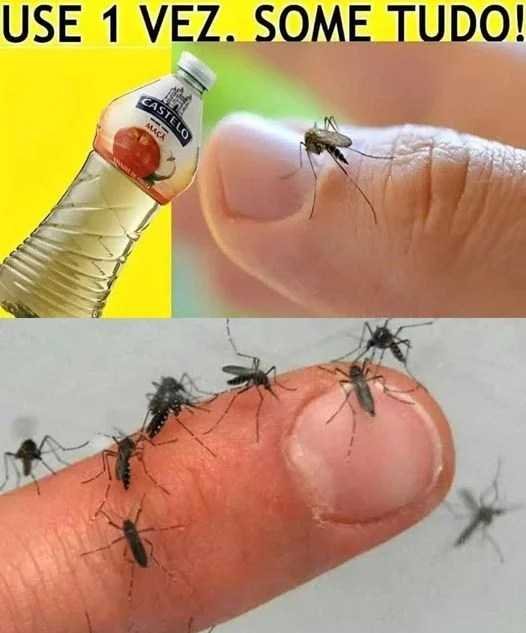 Acabar com Pernilongos