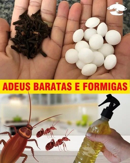 Eliminar Baratas e Formigas